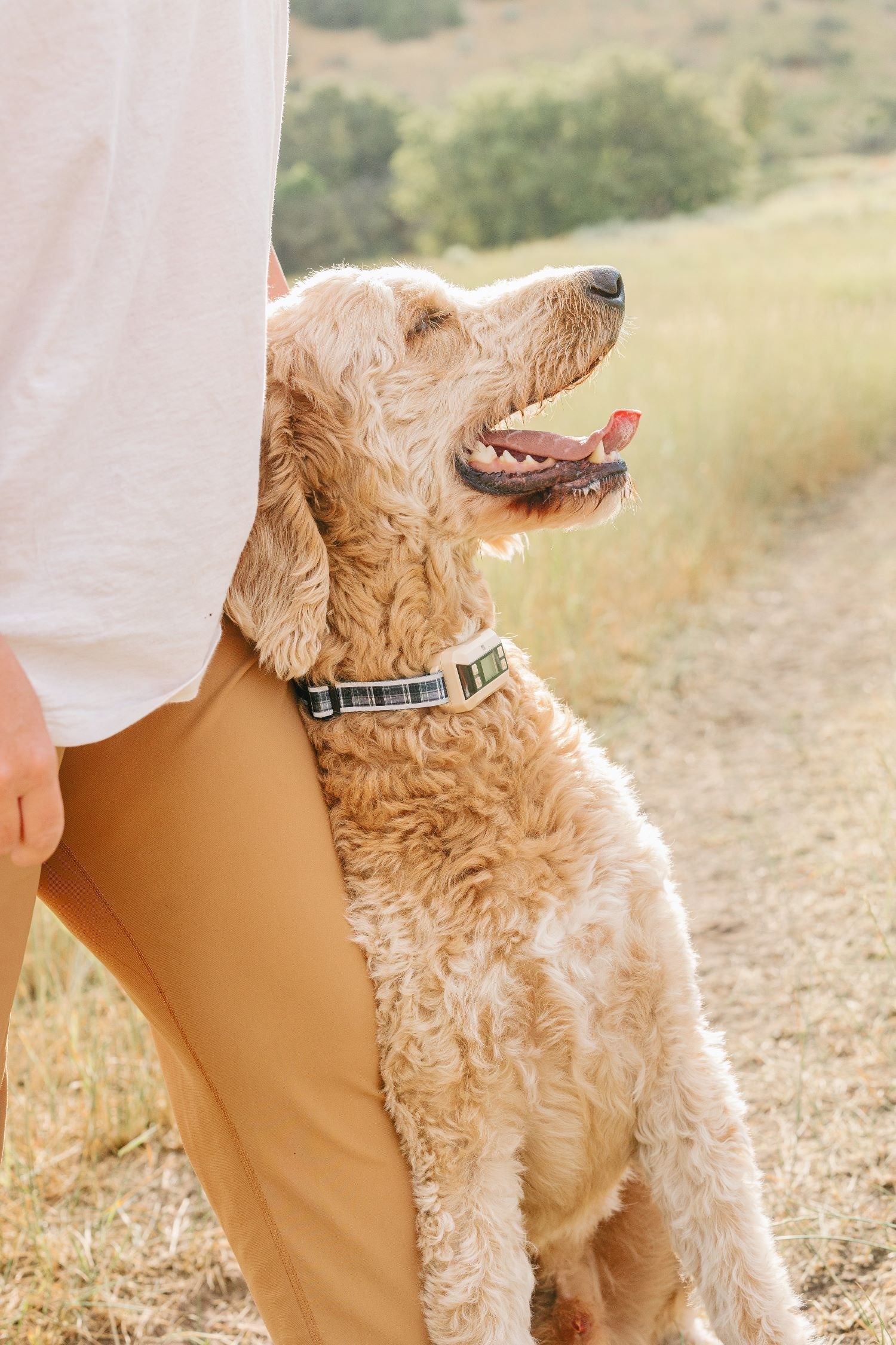 Weak or Lost GPS Signals for GPS Dog Fence Systems