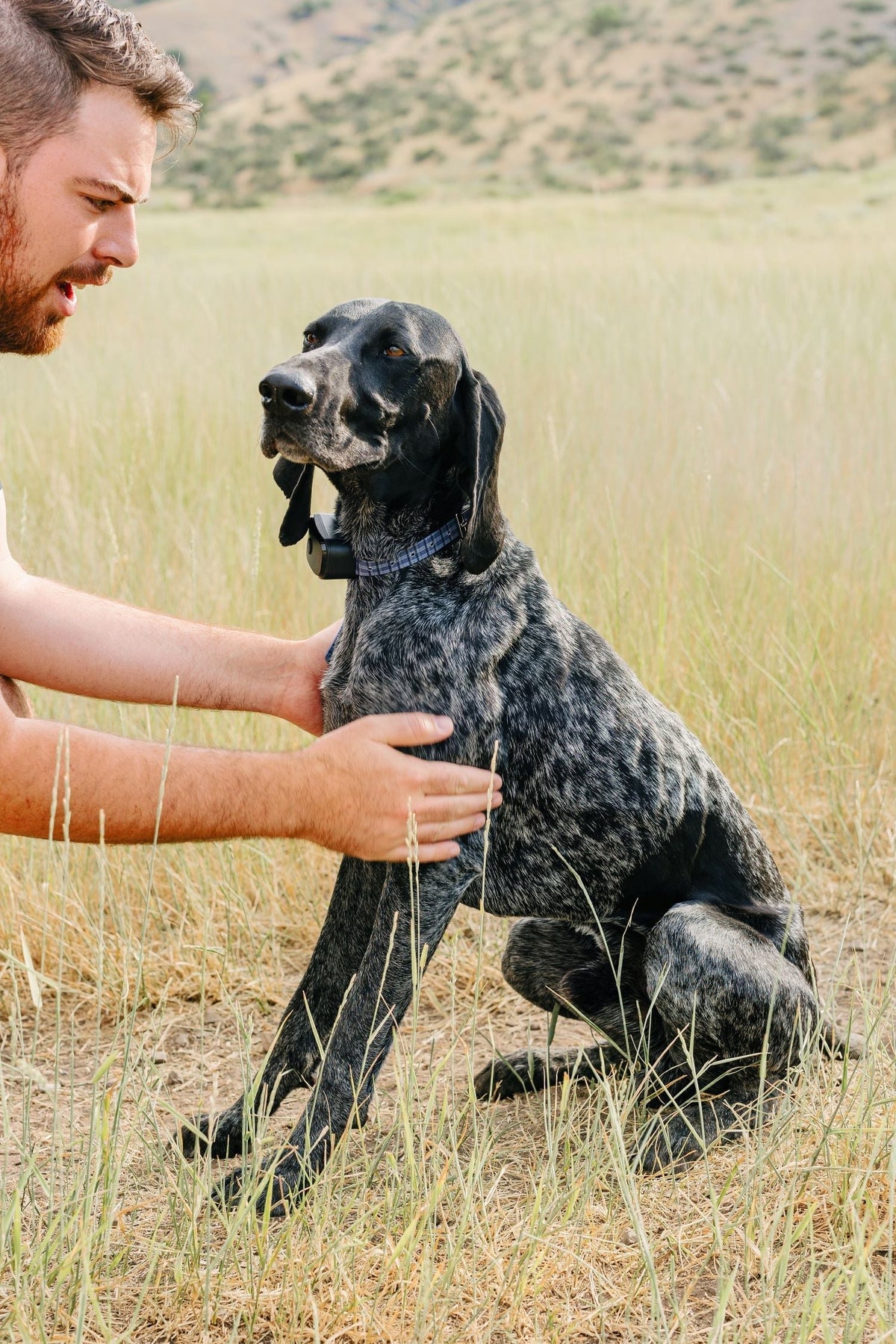 GPS Wireless Dog Fence System