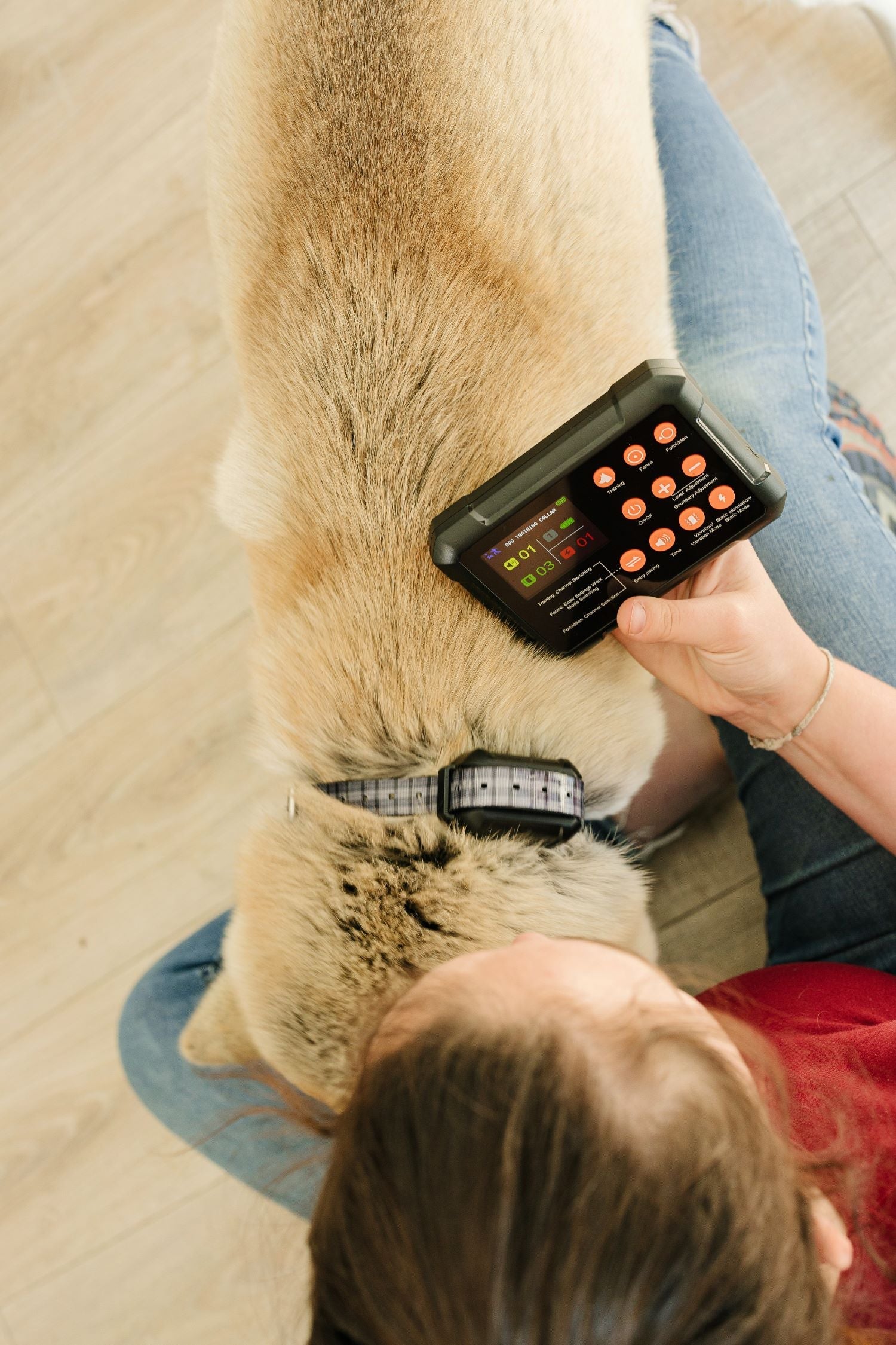 Understanding Boundary Settings: Maximizing Your Wireless Fence