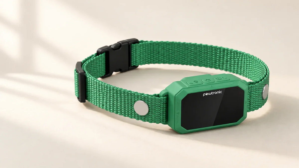 Green PawTronic Pro Series 2 wireless GPS dog fence collar with black display