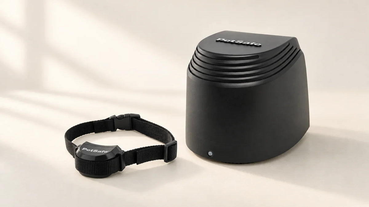 PetSafe Stay and Play Compact wireless fence transmitter and receiver collar