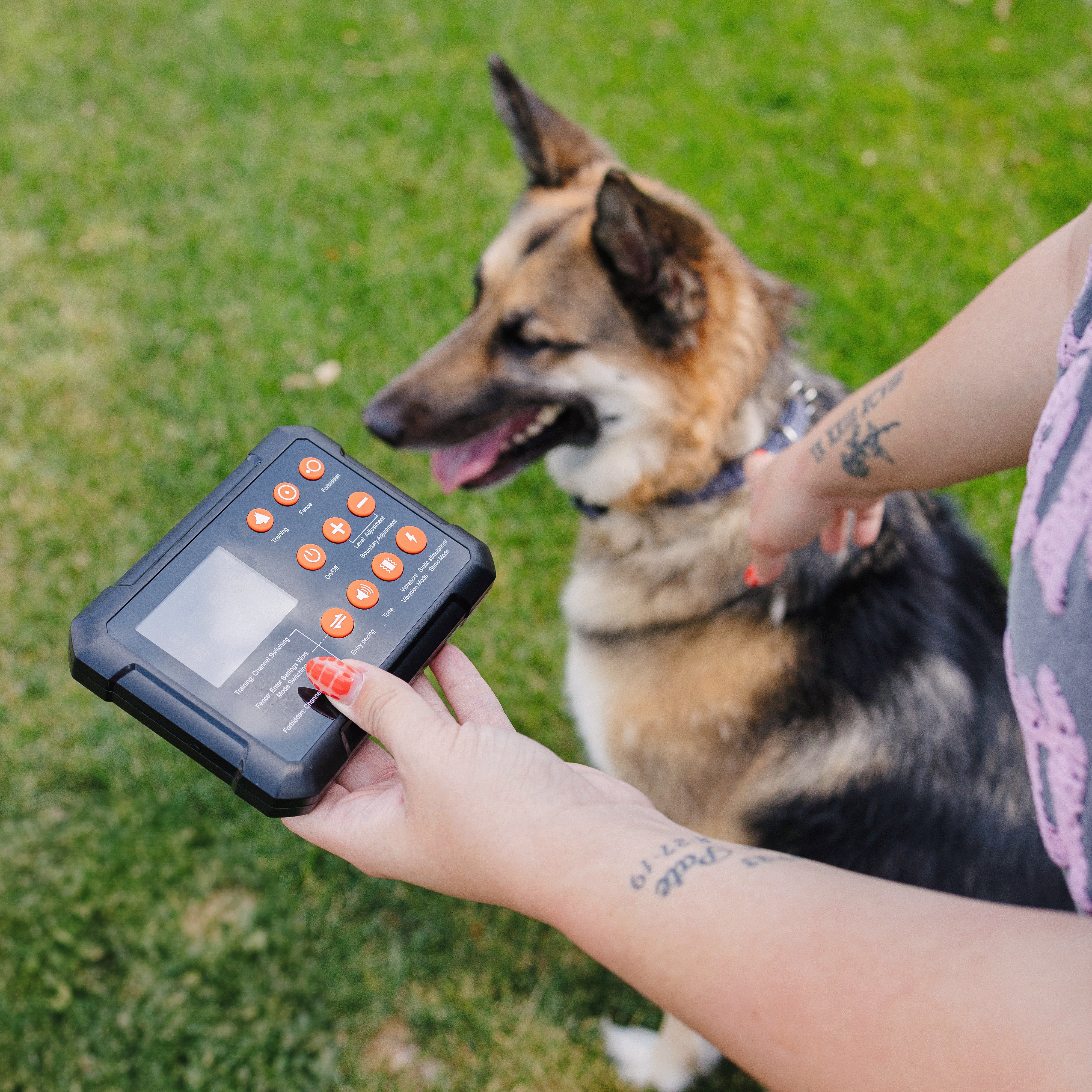 PawTronic Hybrid Series Wireless Dog Fence - Indoor and Outdoor Dog Fence Collar