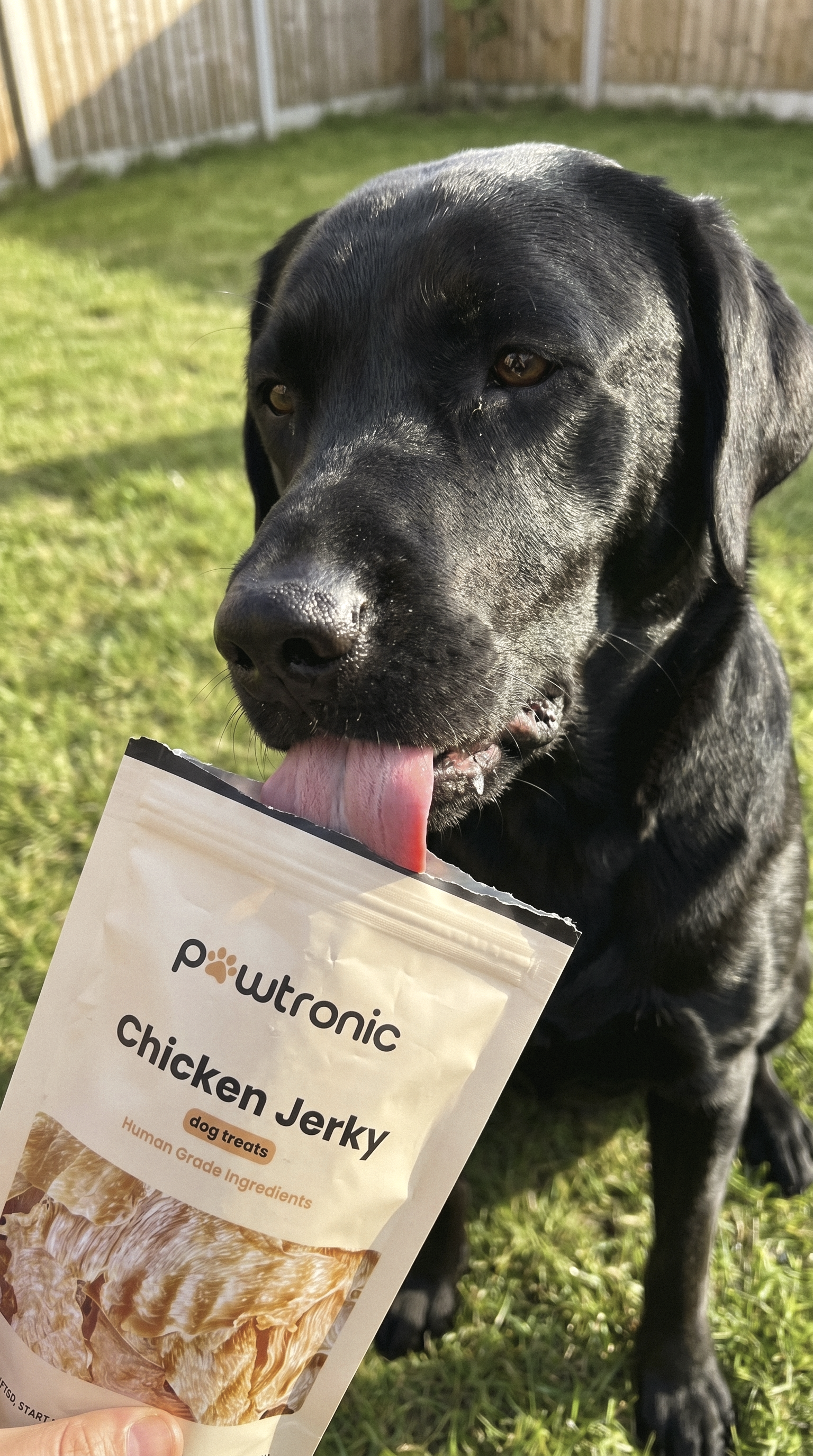 Natural Chicken Jerky Dog Treats 3 Pack