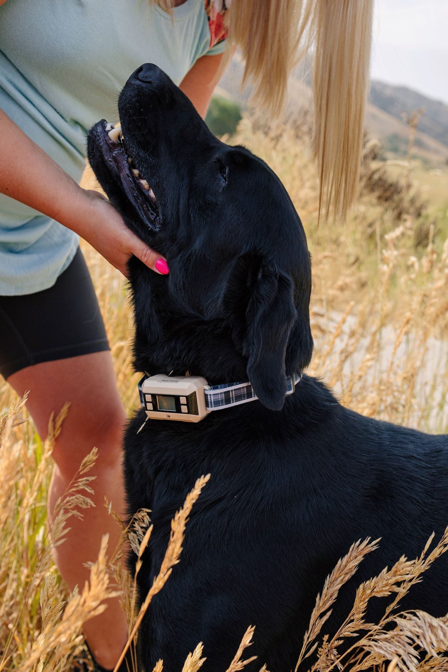 GPS DOG COLLAR