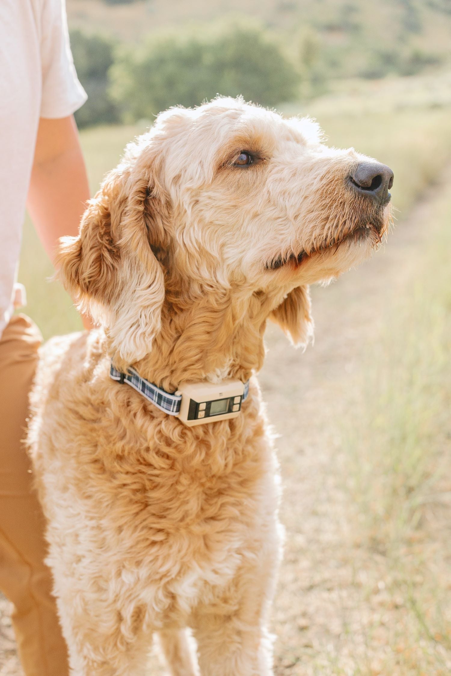 GPS Collars for Hunting Dogs: Enhancing Safety in the Field