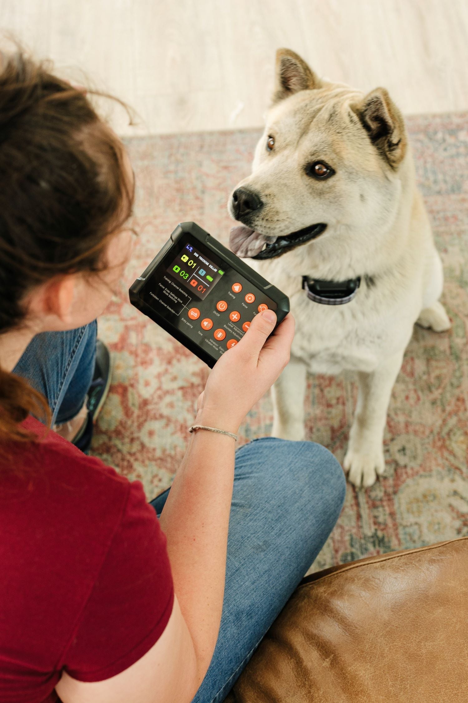 Wireless Dog Collar Fence