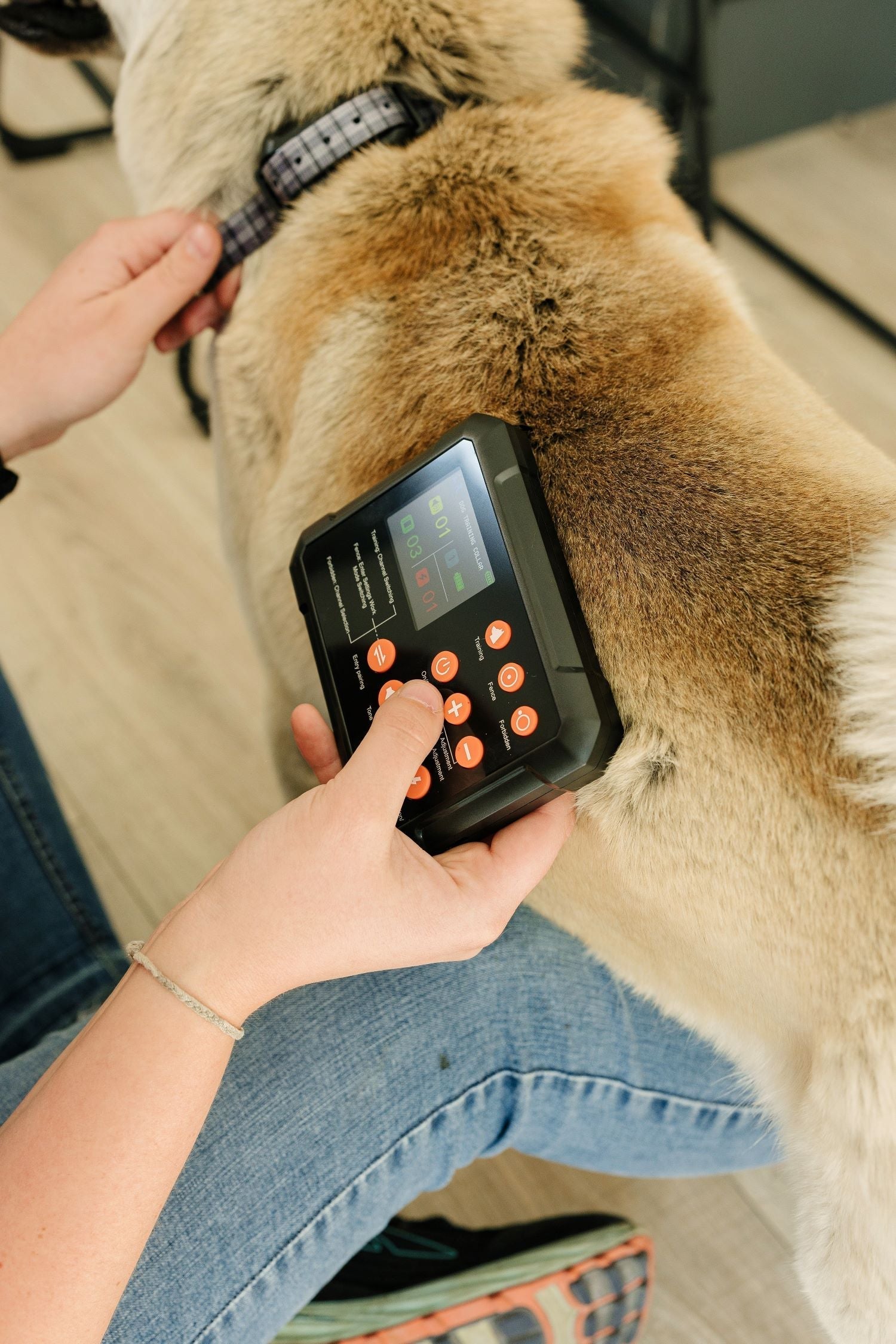 Troubleshooting Problems with Wireless Dog Fence Systems