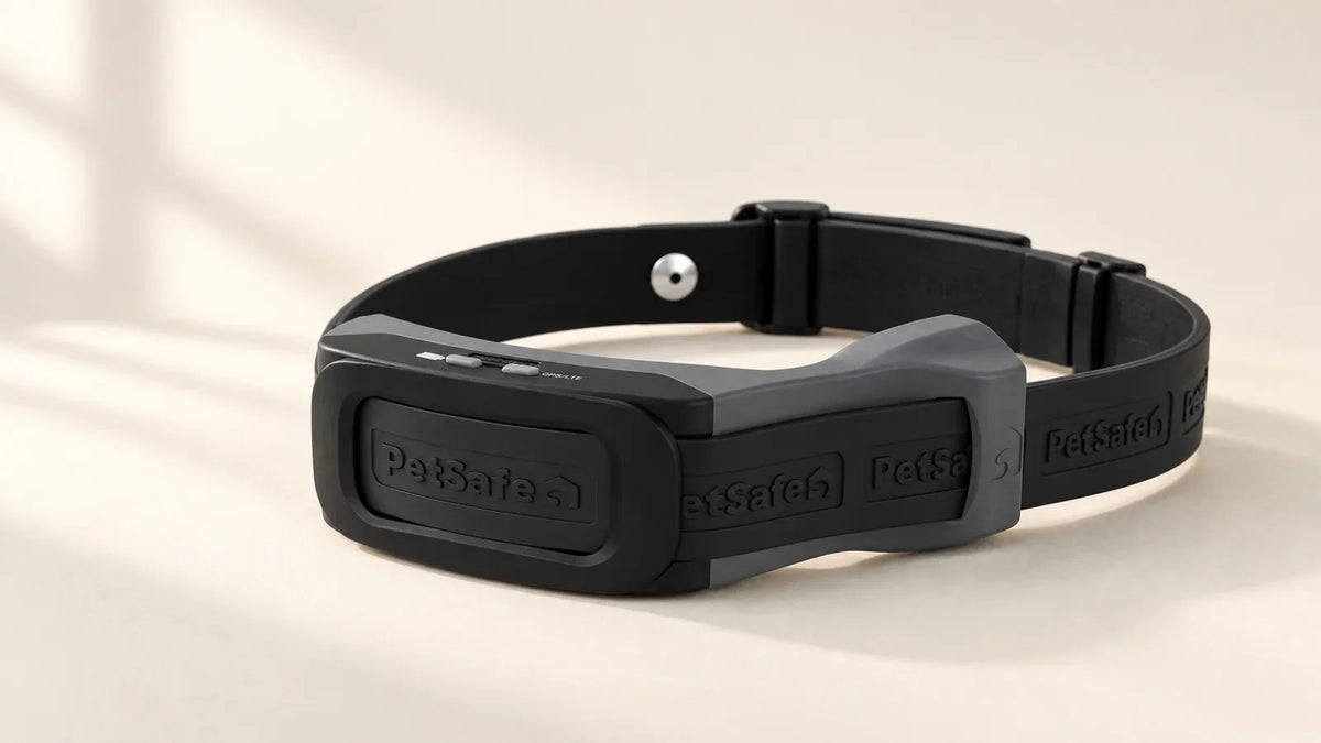 Black PetSafe Guardian GPS 2.0 dog fence and tracking collar on an ivory background