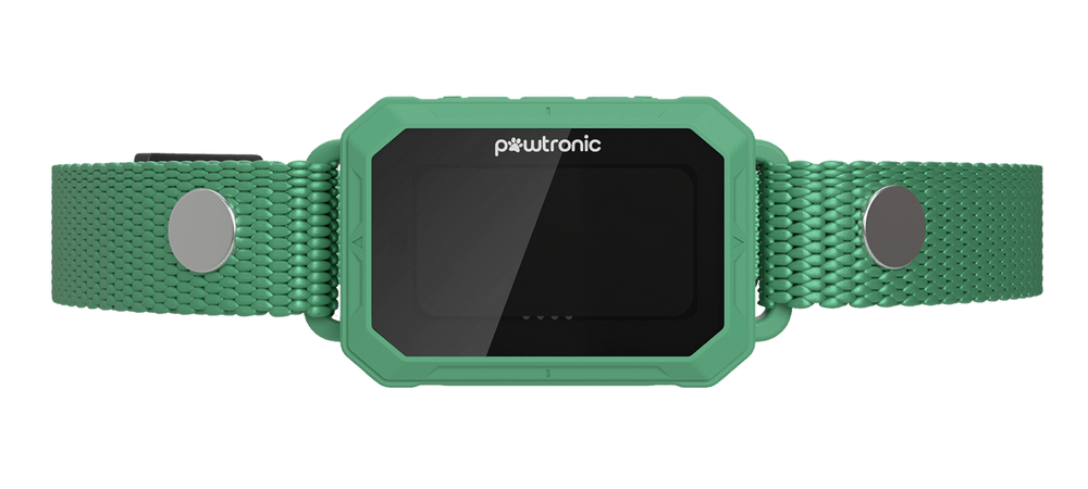 Wireless Shock Collar For Dogs