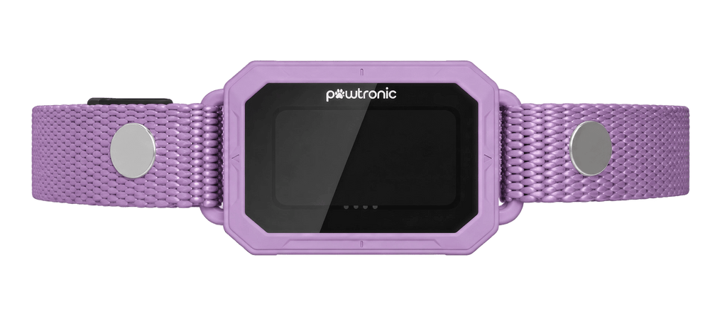 GPS Dog Collars