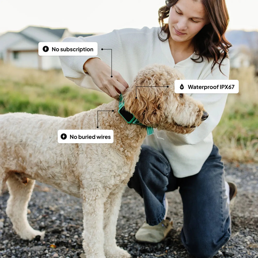 Wireless Perfect Solution for Small Dogs: The Wireless Collar