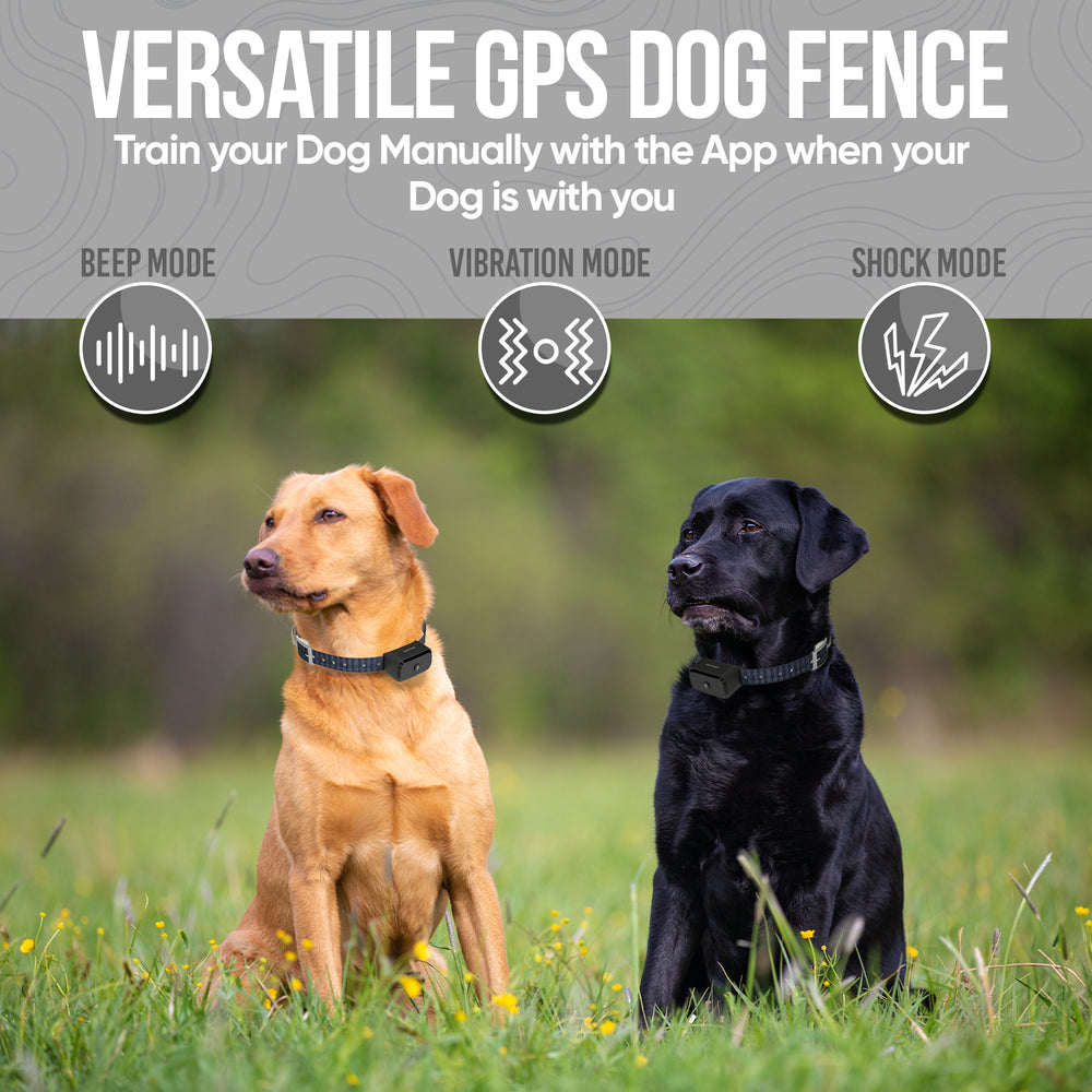 PawTronic Pro Series - Wireless GPS Dog Fence