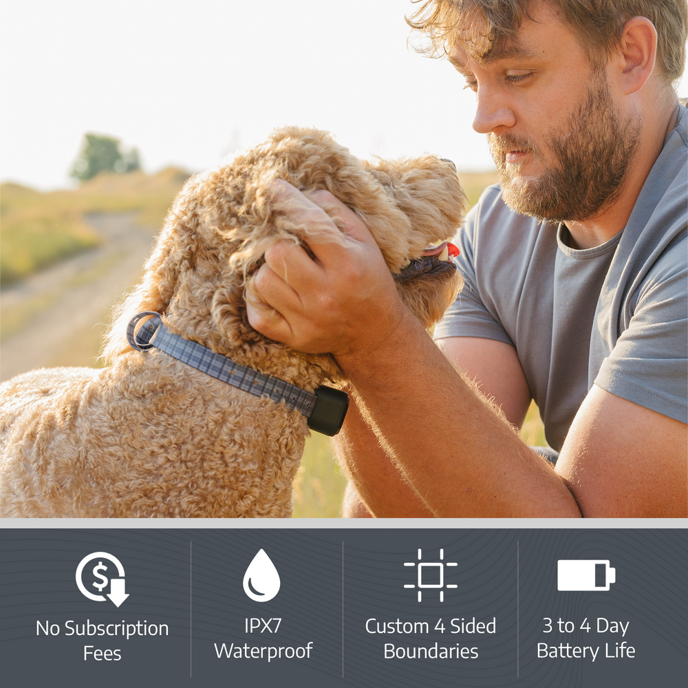 Pawtronic GPS Dog Fence | Accurate Swiss Tech, Waterproof