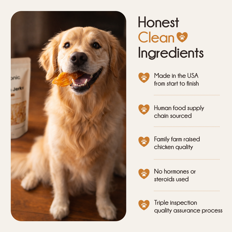 All Natural Chicken Jerky Pouch
