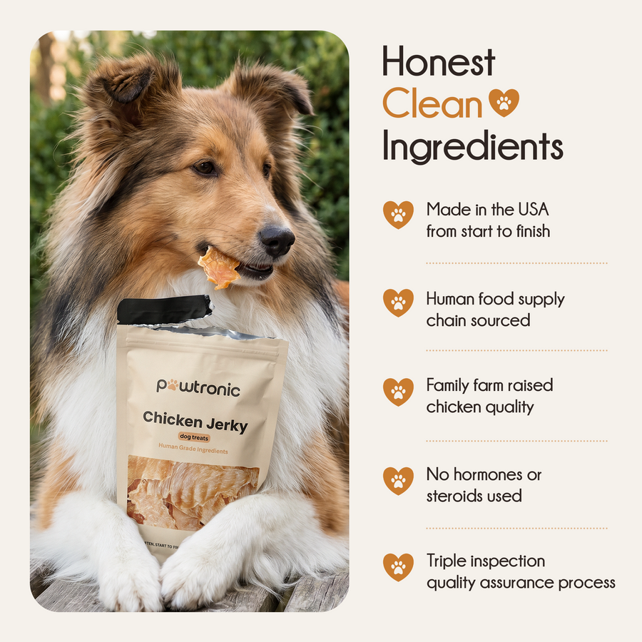Natural Chicken Jerky Dog Treats 3 Pack