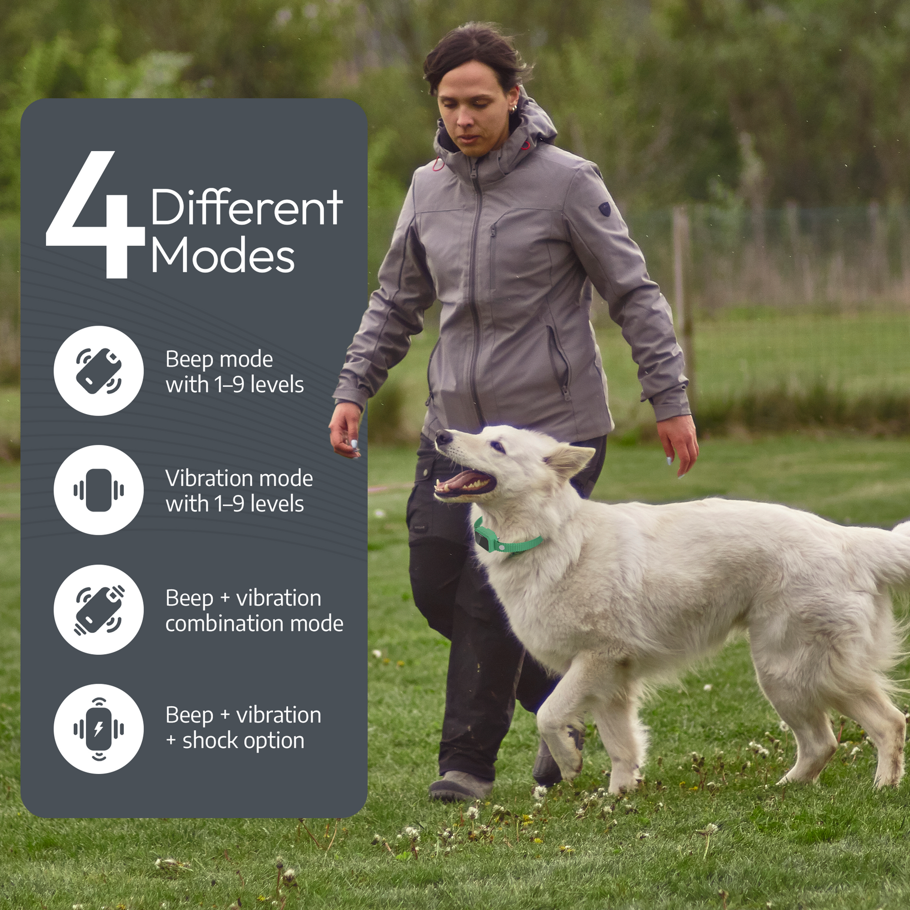 Pawtronic GPS Dog Fence | Accurate Swiss Tech, Waterproof