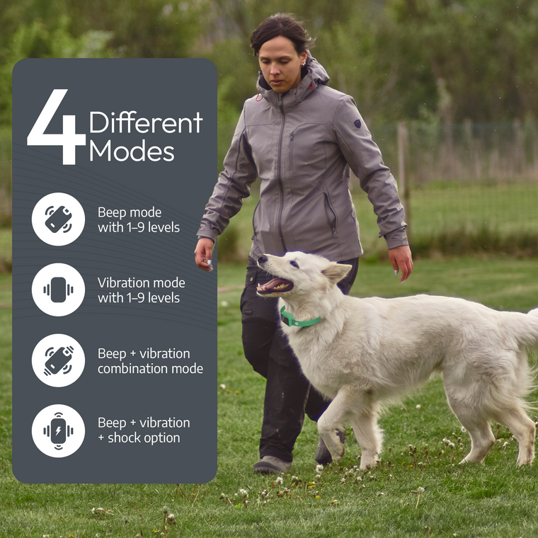 PawTronic Pro Series 2 - Wireless GPS Dog Fence