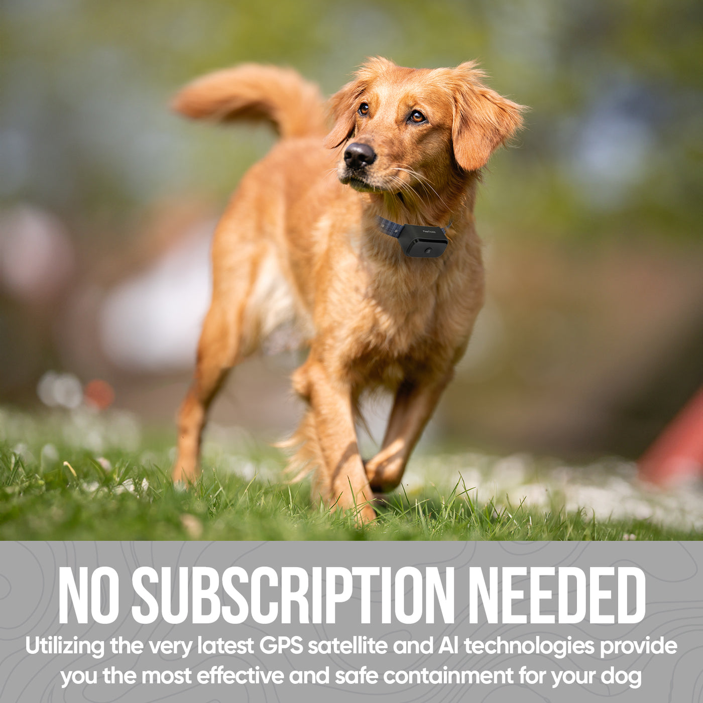 PawTronic Pro Series - Wireless GPS Dog Fence