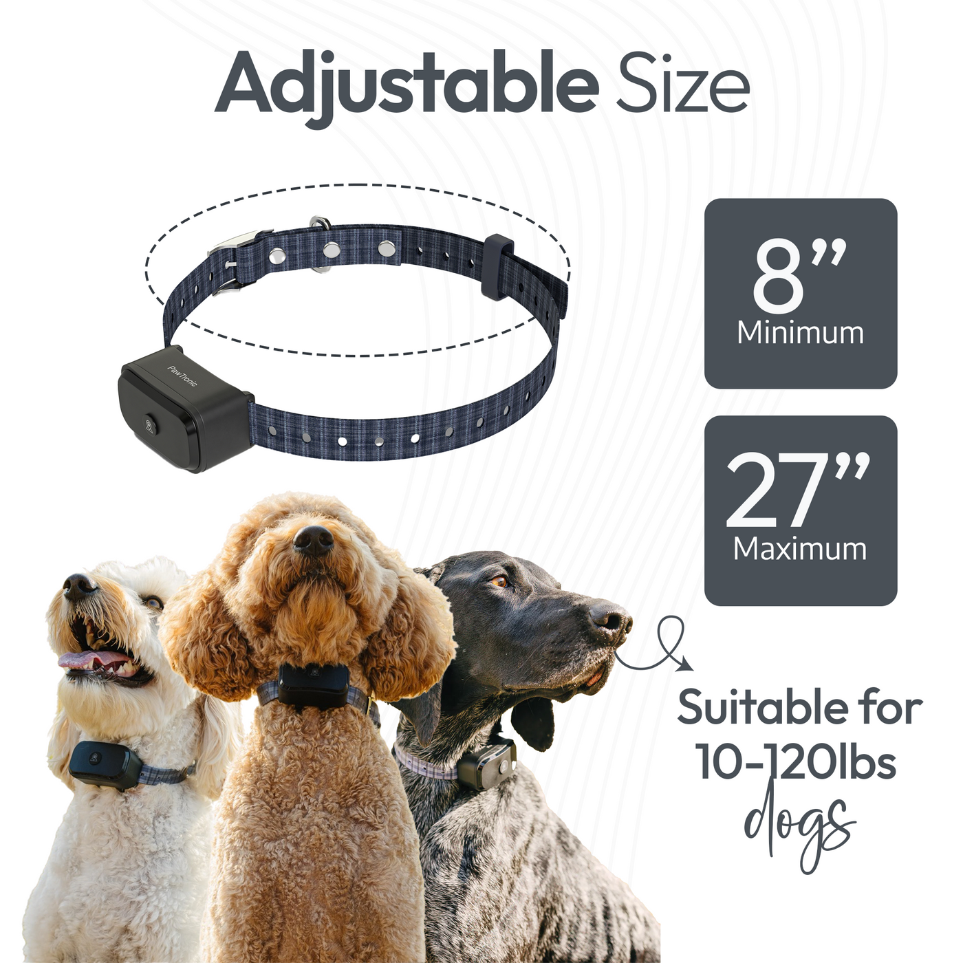 Pawtronic GPS Dog Fence | Accurate Swiss Tech, Waterproof
