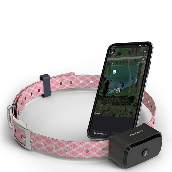 Pawtronic GPS Dog Fence | Accurate Swiss Tech, Waterproof