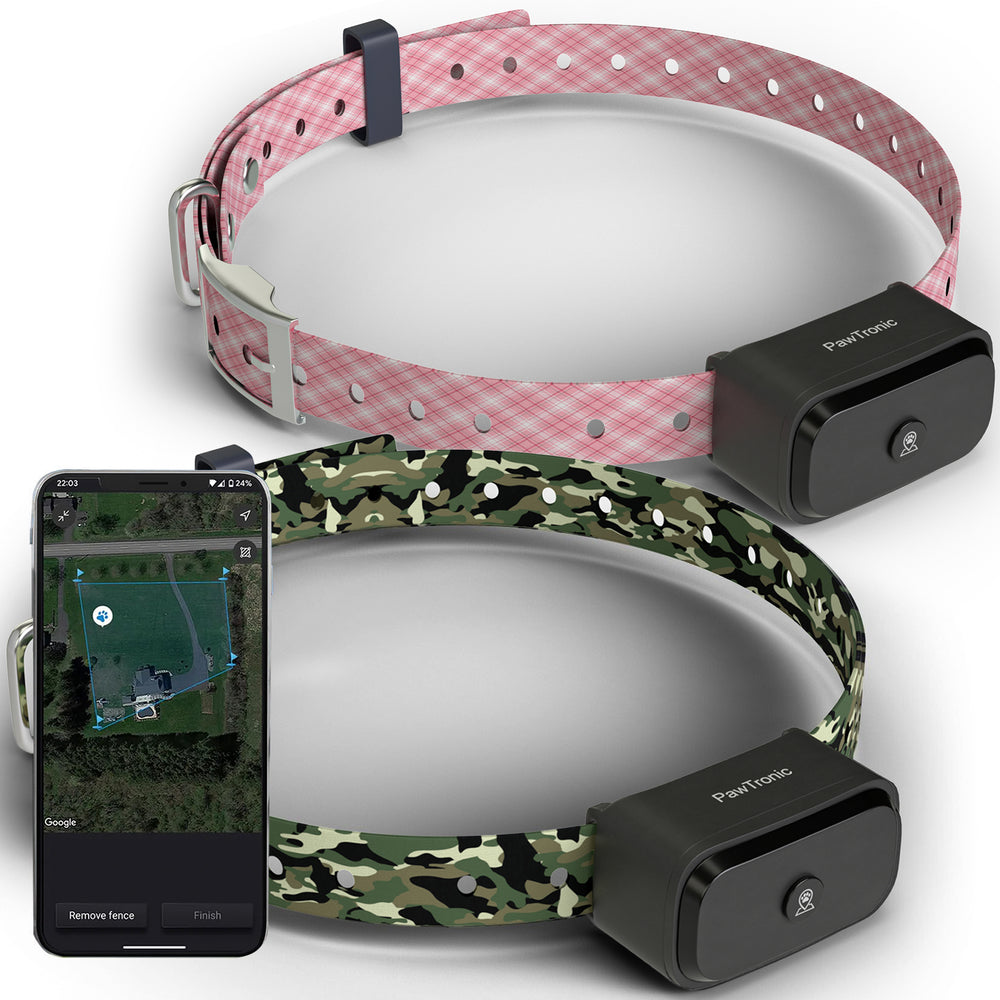 Pawtronic GPS Dog Fence | Accurate Swiss Tech, Waterproof