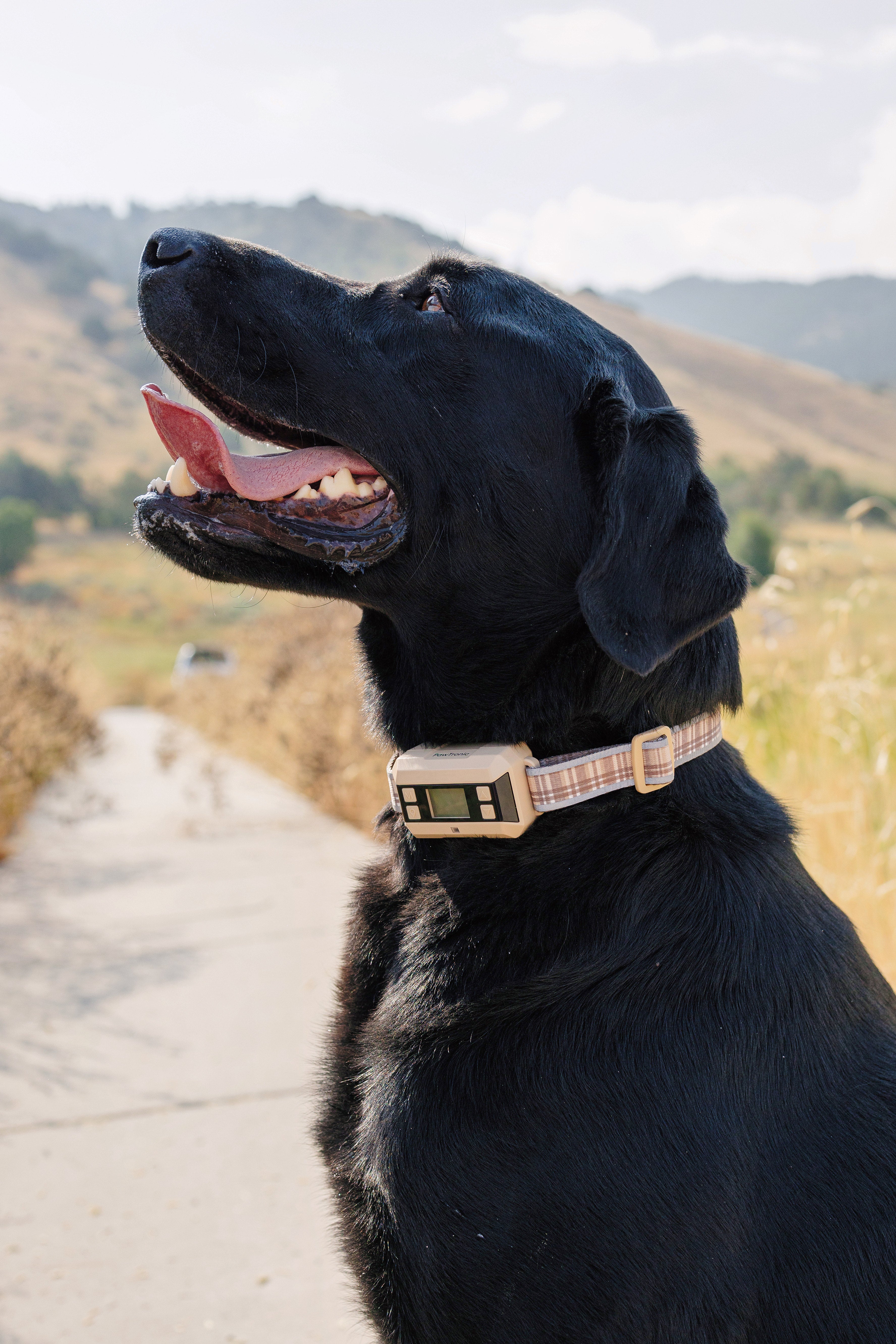 PawTronic Classic Wireless Dog Fence - GPS Dog Fence Collar