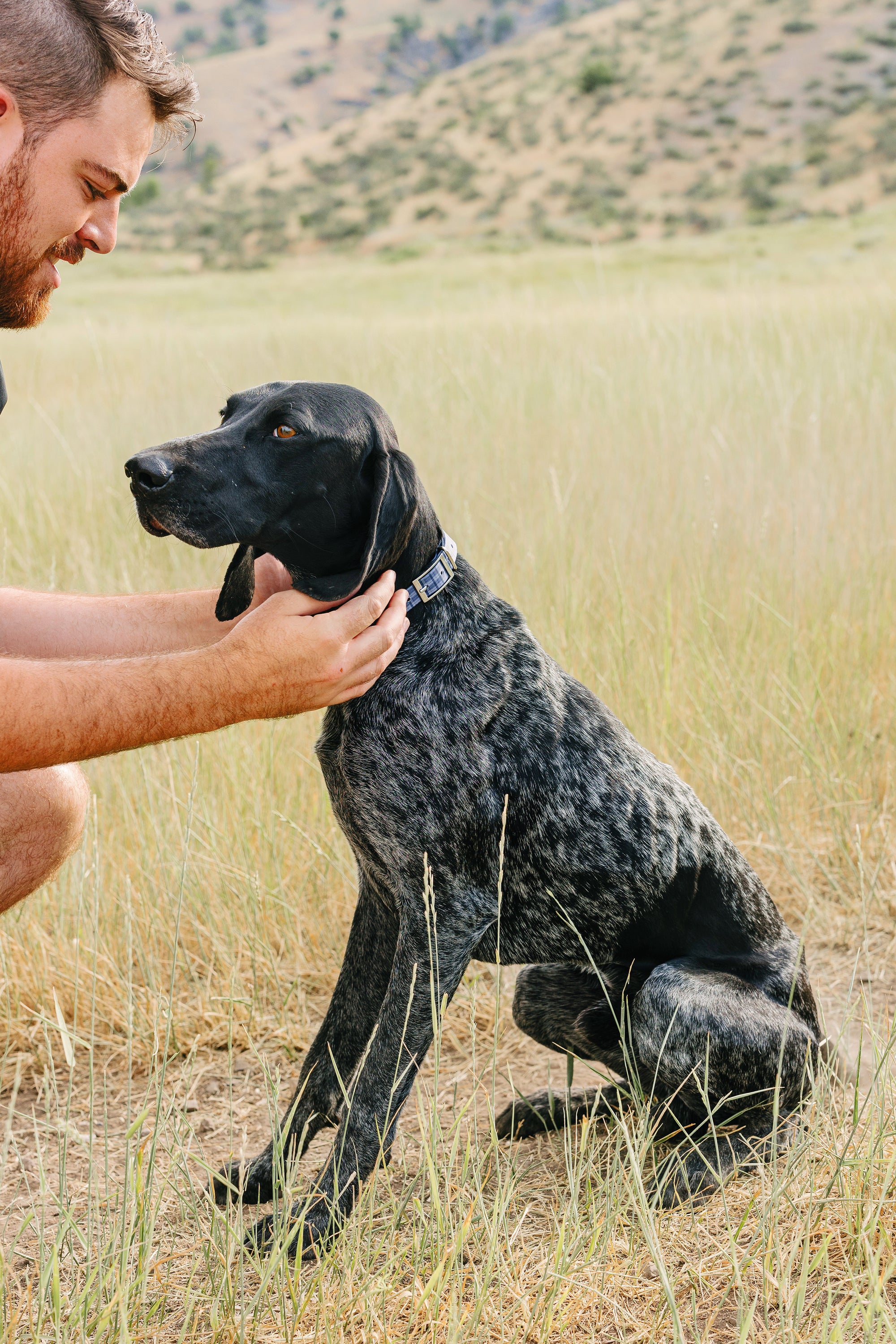 PawTronic Pro Series Wireless GPS Dog Fence pawtronic-pro-series-wireless-gps-dog-fence