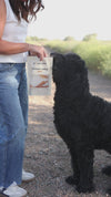 Natural Chicken Jerky Dog Treats 3 Pack
